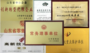 榮譽(yù)獎(jiǎng)項(xiàng)